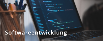 Softwareentwicklung